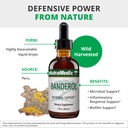 nutramedix-inflammatory-response-support-2.jpg