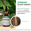 nutramedix-inflammatory-response-support-5.jpg