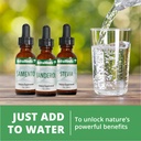 nutramedix-inflammatory-response-support-6.jpg