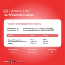 vybrance-labs-3-in-1-creatine-monohydrat-2.jpg