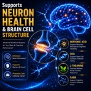 brain-supplement-for-memory-focus-nootro-4.jpg