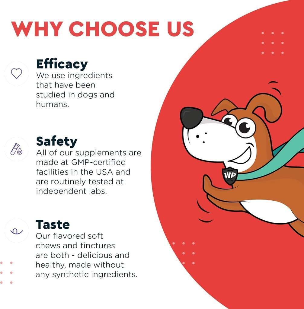 wonder-paws-heart-vitality-superhero-che-6.jpg