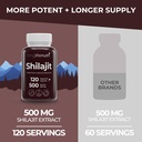shilajit-pure-himalayan-extract-500mg-wi-3.jpg