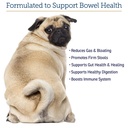 rx-vitamins-nutrigest-dog-probiotics-for-4.jpg