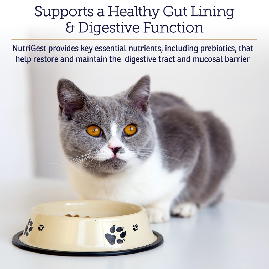 rx-vitamins-nutrigest-dog-probiotics-for-3.jpg