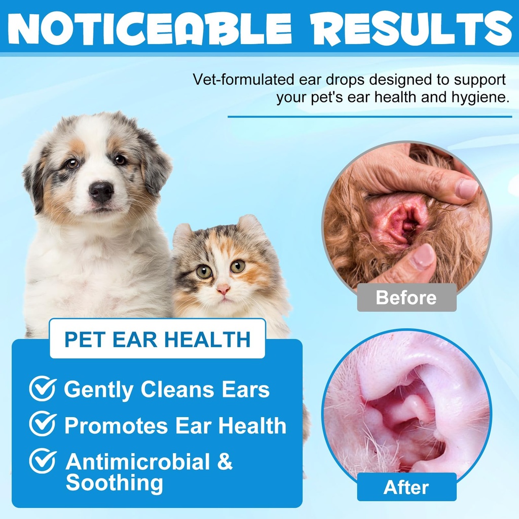 dog-ear-infection-treatment-drops-yeast--2.jpg