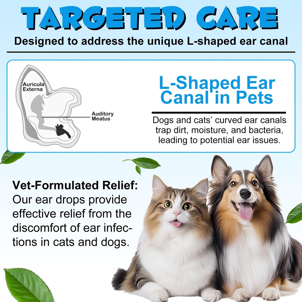 dog-ear-infection-treatment-drops-yeast--4.jpg