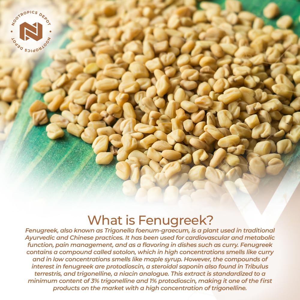 nootropics-depot-fenugreek-extract-capsu-3.jpg