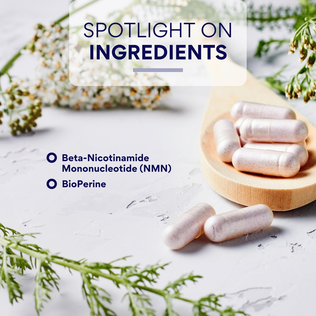 research-verified-nmn-boost-cellular-ene-5.jpg