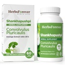 herbsforever-shankhpushpi-convolvulus-pl-4.jpg