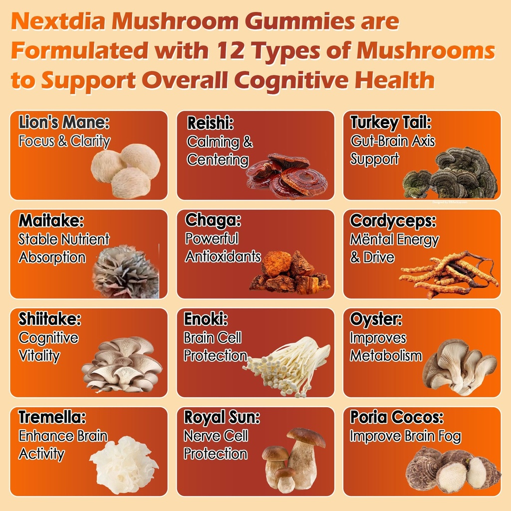 focus-gummies-with-12-mushrooms-lion-s-m-4.jpg