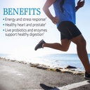 garden-of-life-multivitamin-for-men-vita-3.jpg