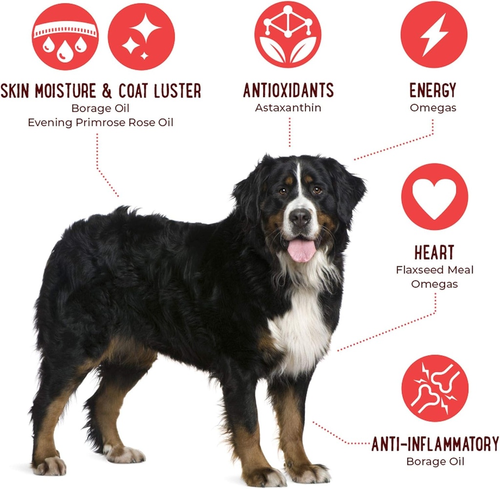 iheartdogs-omega-3-6-9-for-dogs---skin-a-3.jpg