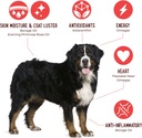 iheartdogs-omega-3-6-9-for-dogs---skin-a-3.jpg