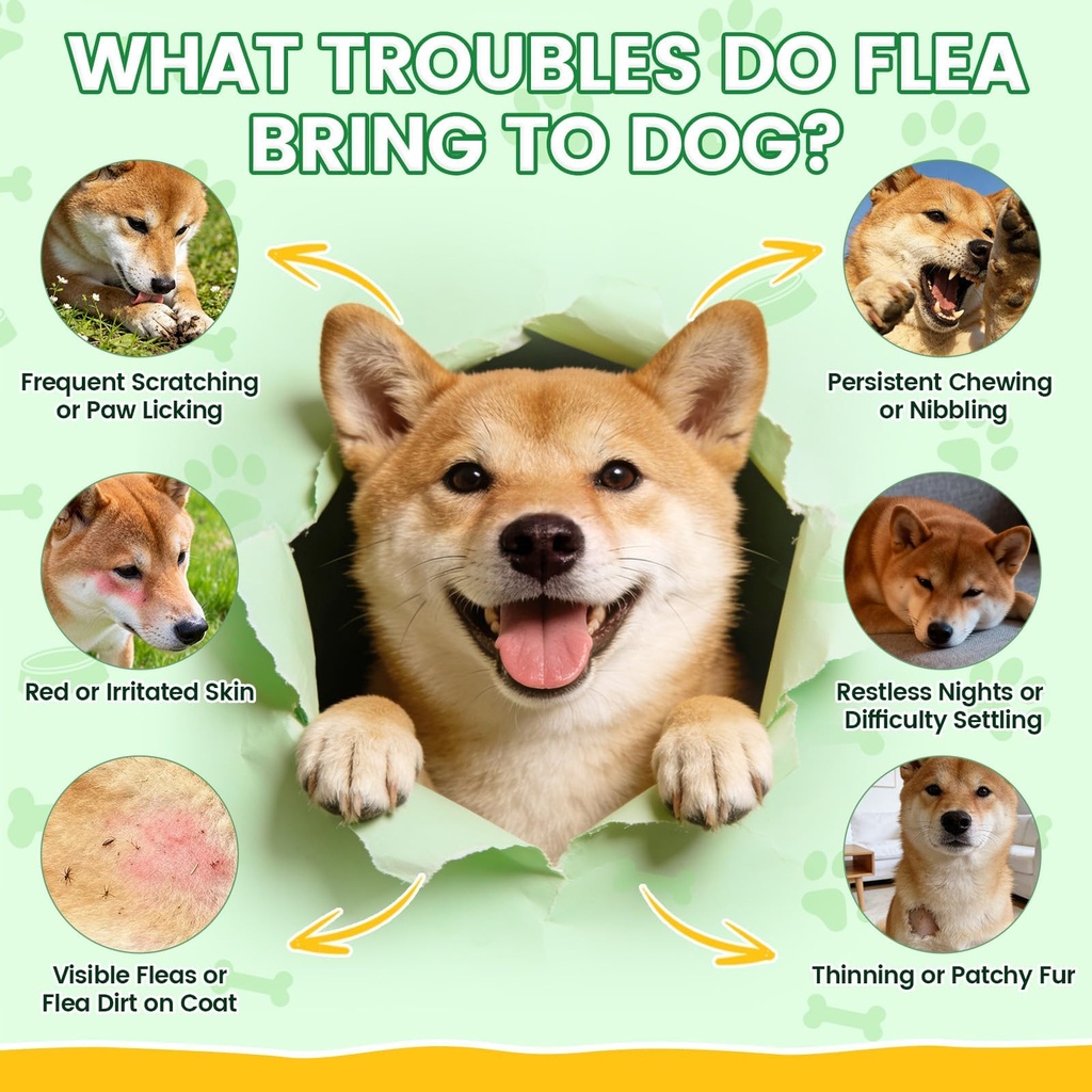 flea-and-tick-prevention-for-dogs-chews--5.jpg