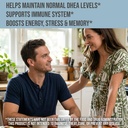 hampton-distribution-dhea-10mg-hormone-b-3.jpg