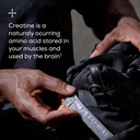 ancient-brave-true-creatine-packets-15-x-3.jpg