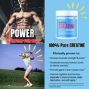physivantage-creatine-monohydrate-pure-m-3.jpg