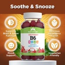 high-potency-vitamin-b6-gummies-for-kids-2.jpg