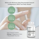 organixx-magnesium-glycinate-supplement--3.jpg