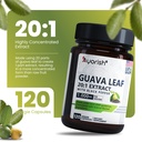 guava-leaf-capsules-1000mg-120-count-gua-3.jpg