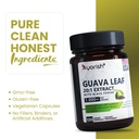 guava-leaf-capsules-1000mg-120-count-gua-6.jpg