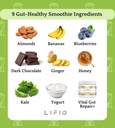 vital-gut-repair-with-immunolin-suppleme-4.jpg
