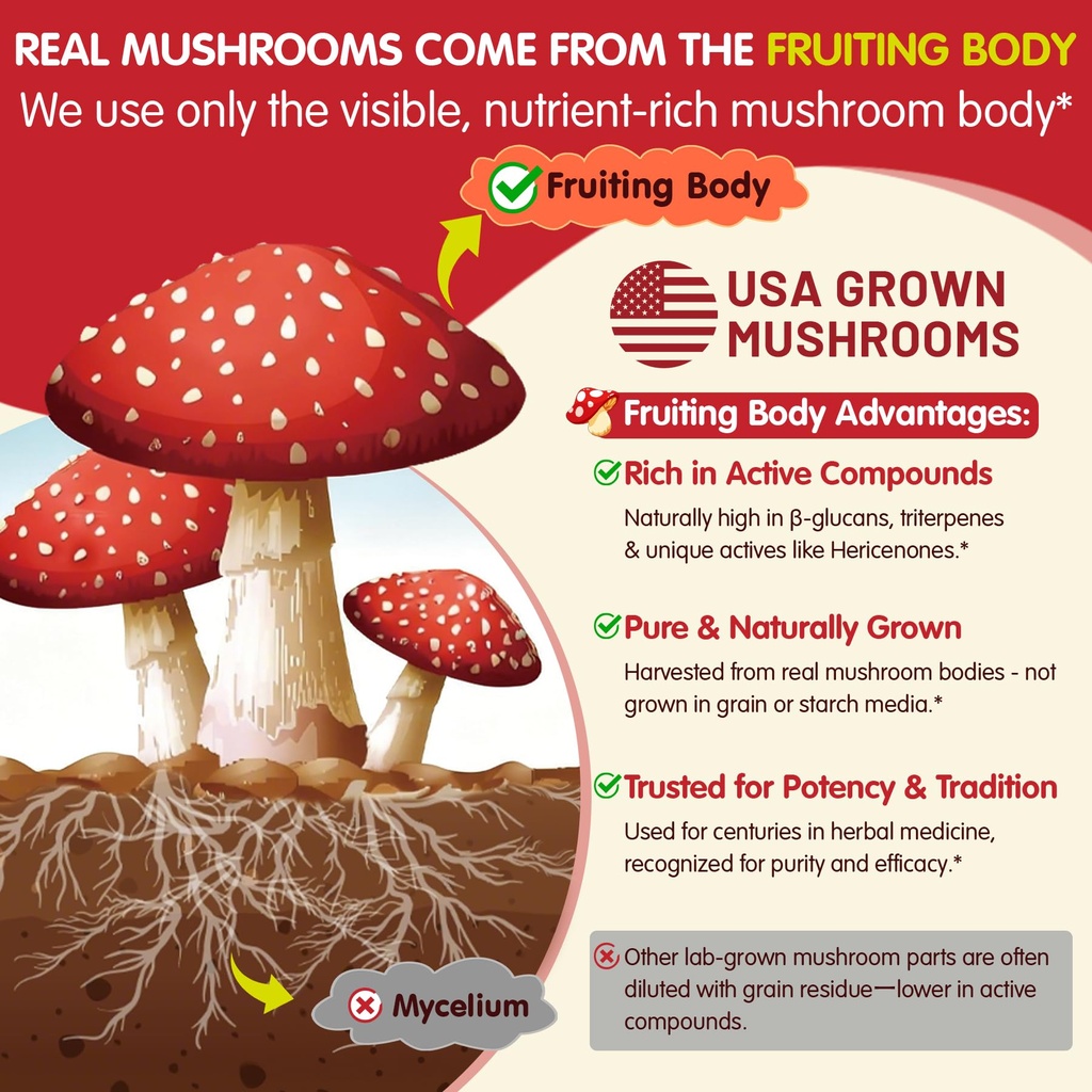 lions-mane-mushroom-focus-gummies-for-ki-4.jpg