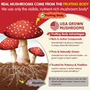 lions-mane-mushroom-focus-gummies-for-ki-4.jpg
