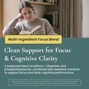 focus-supplement-made-in-italy-premium-b-2.jpg