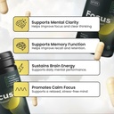 focus-supplement-made-in-italy-premium-b-5.jpg
