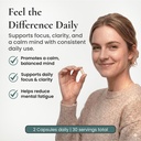 focus-supplement-made-in-italy-premium-b-4.jpg