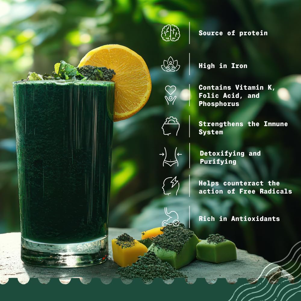 naturalebio-spirulina-powder-organic-1-l-3.jpg