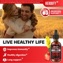 herbify-bundle-lions-mane-mullein-4-fl-o-6.jpg