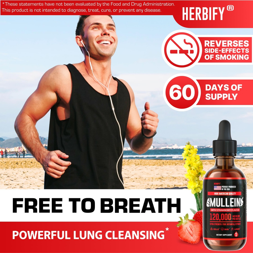 herbify-bundle-lions-mane-mullein-4-fl-o-5.jpg