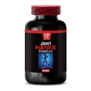 joint-support-supplement-b-6-joint-and-h-6.jpg