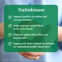 provita-nattokinase-supplement-2000-fu-1-3.jpg