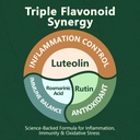 hypervive-saffron-with-ashwagandha-l-the-6.jpg