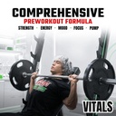 psycho-pharma-vitals-pre-workout-daily-d-4.jpg