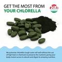 sun-chlorella-sun-on-the-run-bundle-2ct--4.jpg