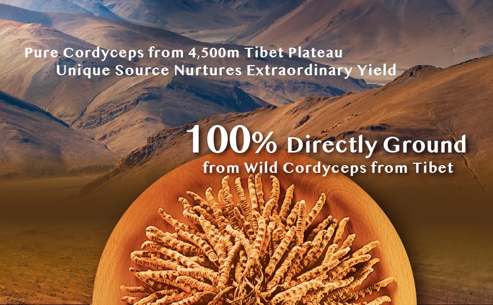 100-wild-tibetan-cordyceps-capsules-grou-6.jpg