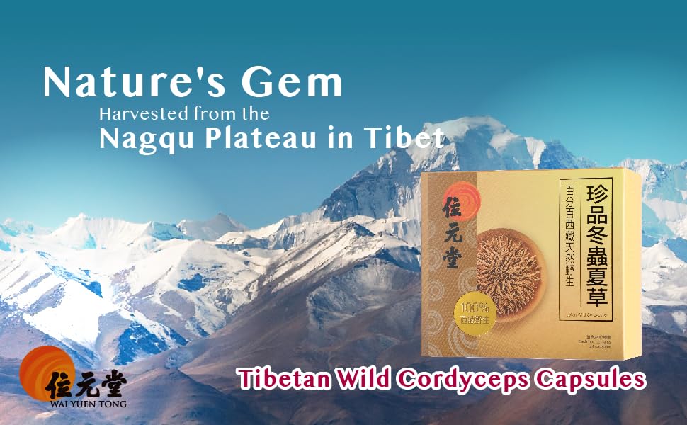 100-wild-tibetan-cordyceps-capsules-grou-5.jpg