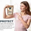 tiger-milk-mushroom-supplement-lignosus--5.jpg