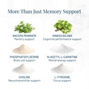provasil-maximum-strength-brain-suppleme-4.jpg