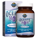 garden-of-life-organics-prenatal-vitamin-5.jpg