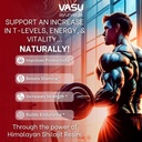 vasu-ayurveda-himalayan-shilajit-resin-4-2.jpg