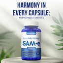 extra-strength-sam-e-supplement-same-s-a-6.jpg
