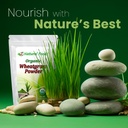 organic-wheatgrass-powder-bulk-5-lb-size-3.jpg