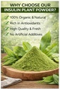 insulin-plant-powder-costus-igneus-100-g-4.jpg
