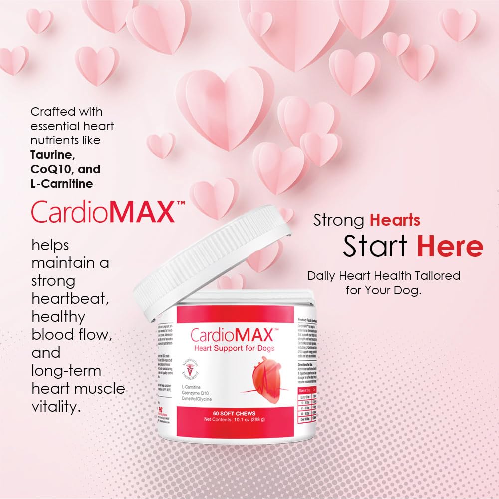 heart-support-supplement-for-dogs-vet-fo-3.jpg